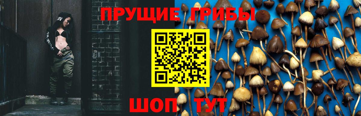 Галлюциногенные грибы прущие грибы  Вход с VPN  Асбест  Псилоцибиновые грибы мухоморы 